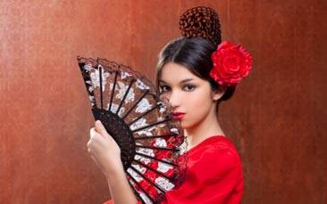 flamenco dinner & show image