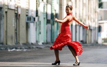 flamenco dinner & show image