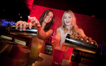 cocktail mixing with a 2 course meal image