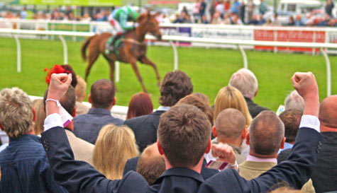 horse racing - grandstand & paddock image