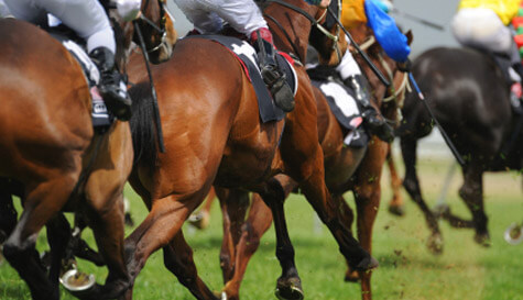 horse racing - grandstand & paddock image