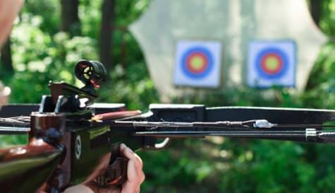 crossbows image