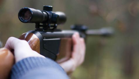 air rifles image