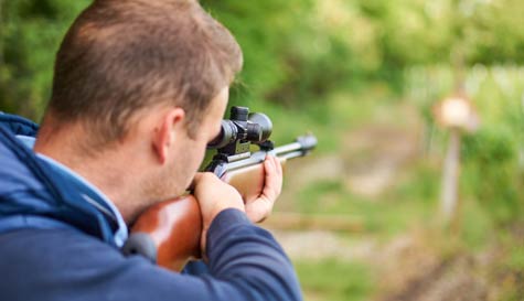 air rifles image