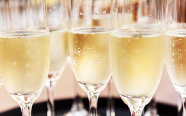 champagne punt tour - mill lane image