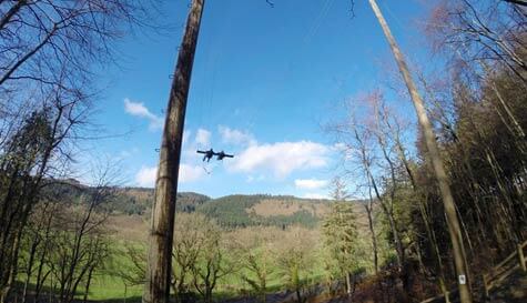 giant skyswing image