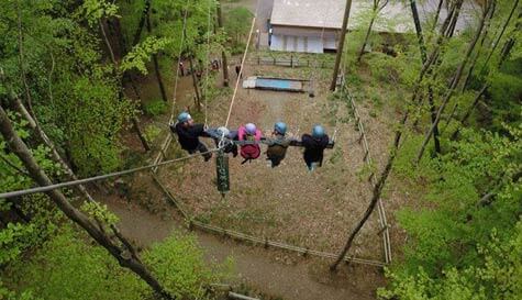 giant skyswing image