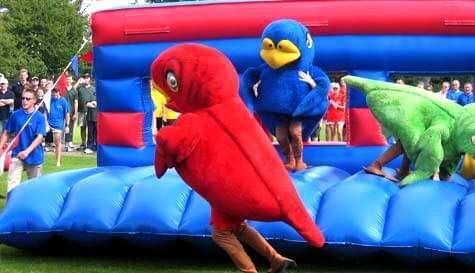 it's a knockout image