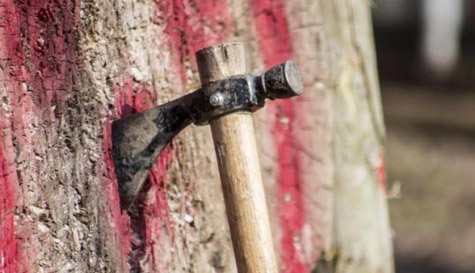 Multi Activity Day - 3 Events