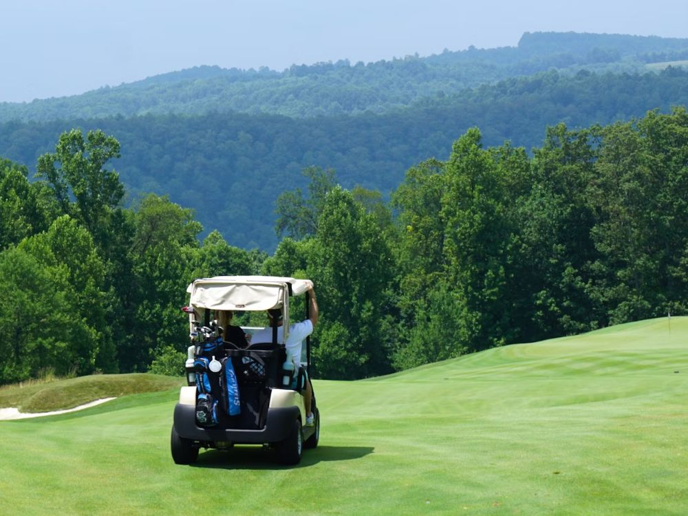 Golf Buggy Hire