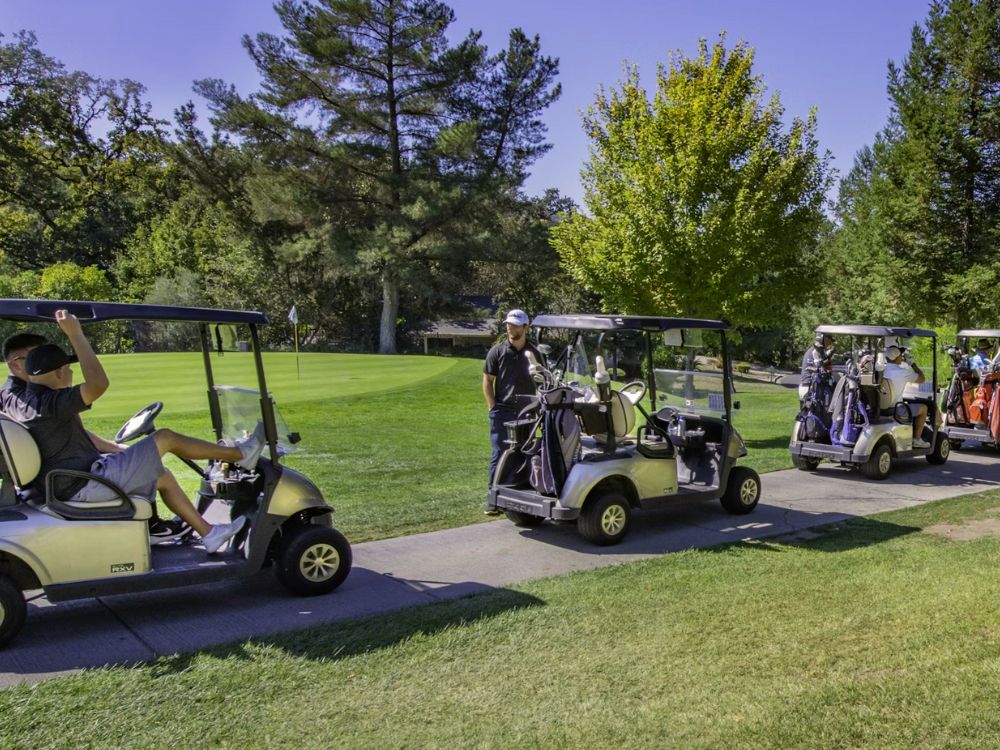 Golf Buggy Hire