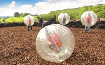 hen activity day image