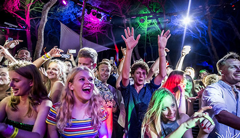 vip night - private pub crawl tour image