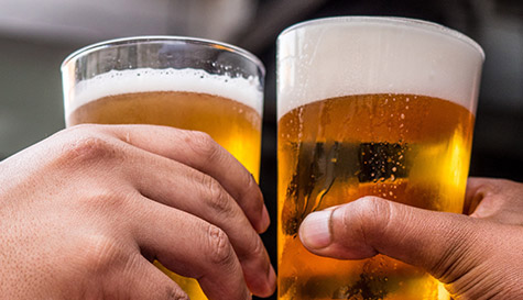 austrian meal and beers image