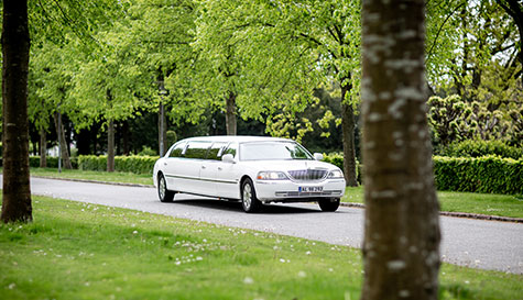 limousine tour image