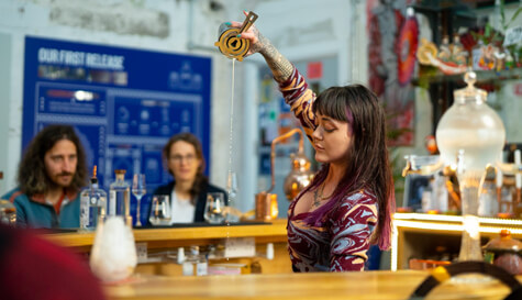 gin cocktail masterclass & distillery tour image