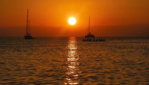 catamaran - party cruise image