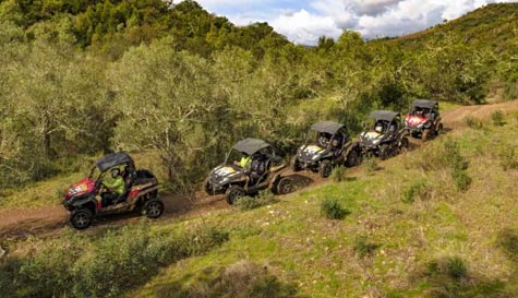buggy tour image