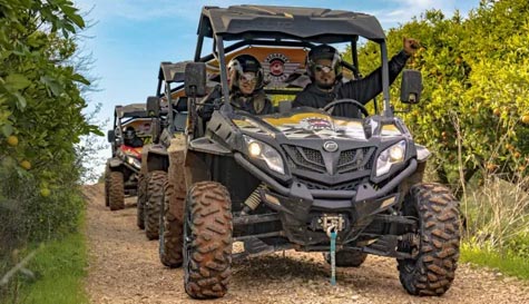 buggy tour image