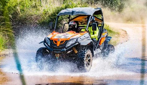 buggy tour image