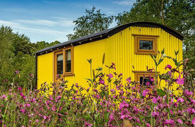 southworth shepherd's huts image