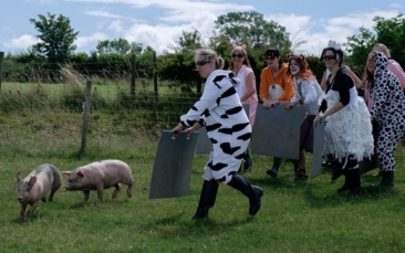 the ultimate farmer activity package image
