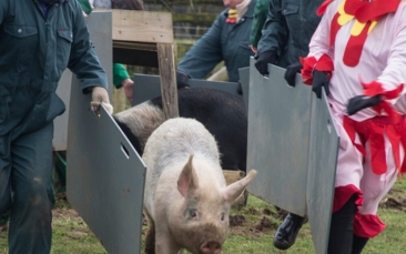 the farmer warrior activity package image