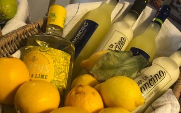 italian cocktails image