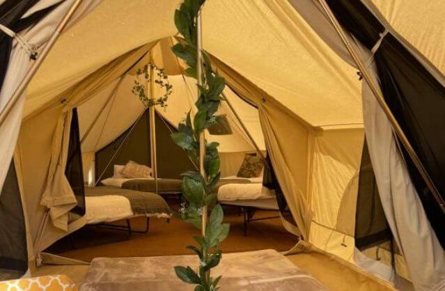 trentside glamping - gold image
