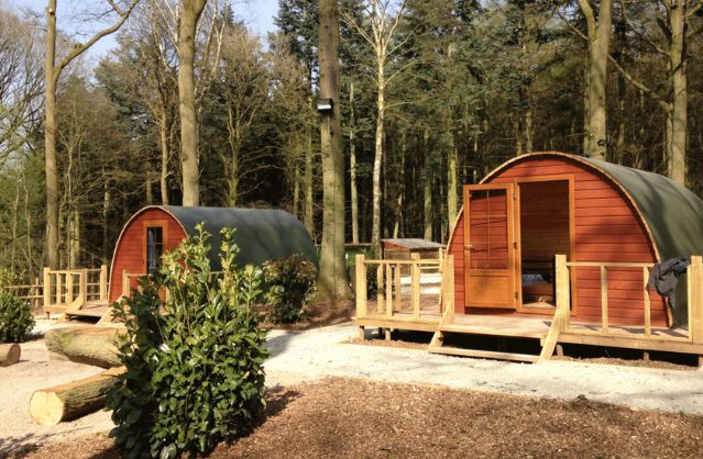 wildwood glamping image