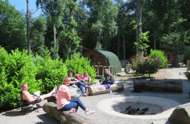 wildwood glamping image