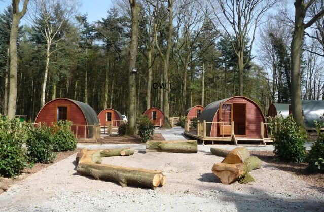 wildwood glamping image