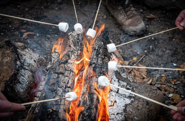 wildwood glamping image