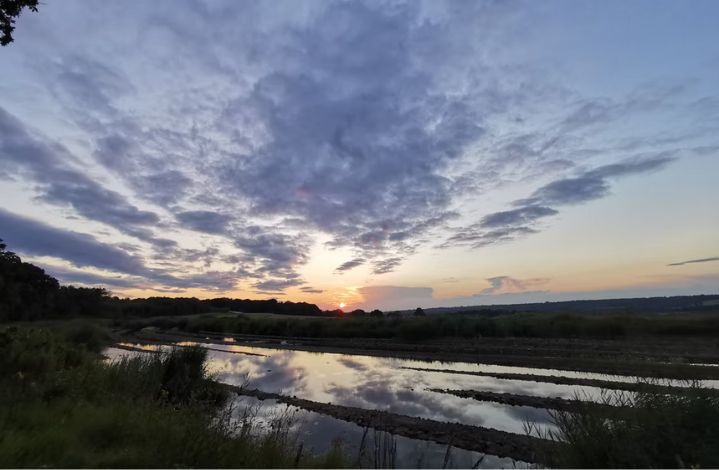 weald glamping image