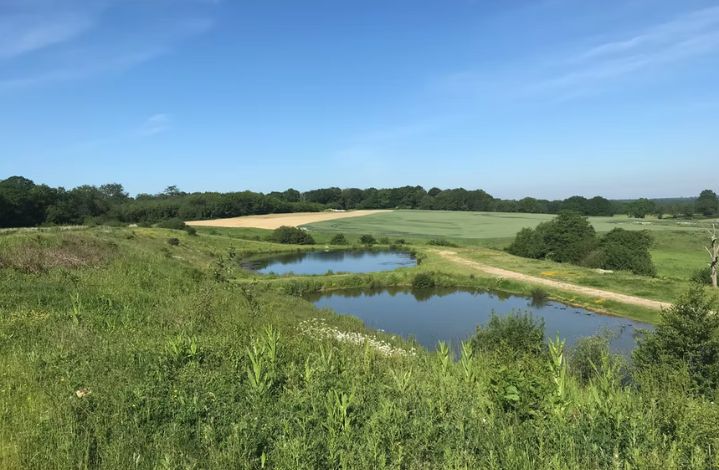 weald glamping image