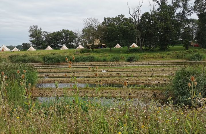 weald glamping image