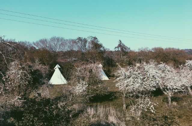 Country Retreat accommodation