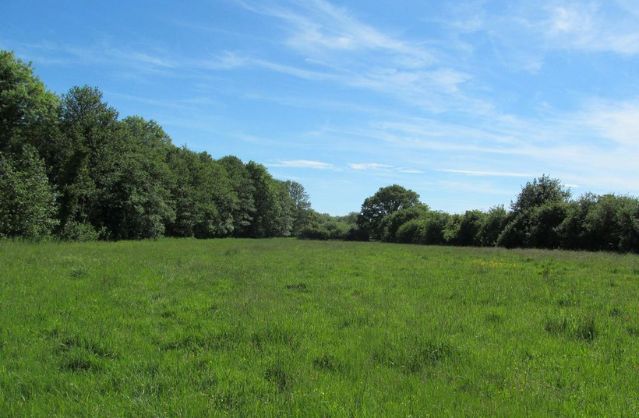 Norwich accommodation