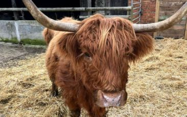 Bristol accommodation