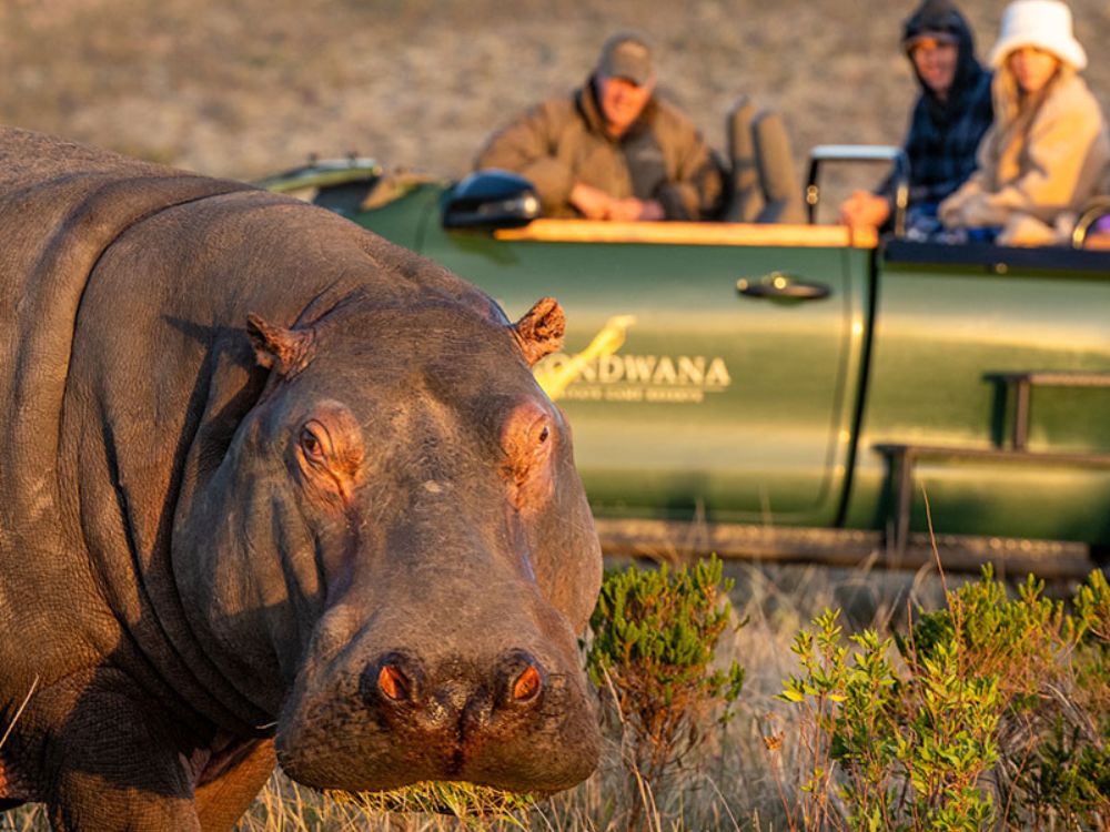 Gondwana Kwena Lodge