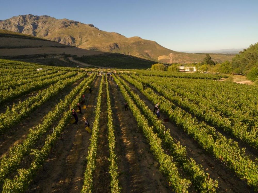 Lanzerac Hotel & Spa