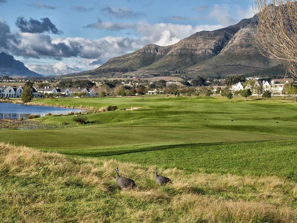 De Zalze Golf Club